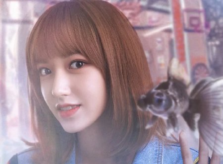 《你微笑时好美》演员有哪些?