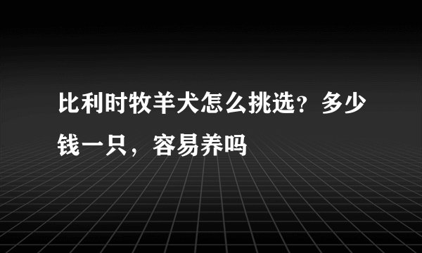 比利时牧羊犬怎么挑选？多少钱一只，容易养吗