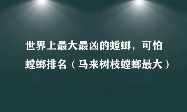 世界上最大最凶的螳螂，可怕螳螂排名（马来树枝螳螂最大）