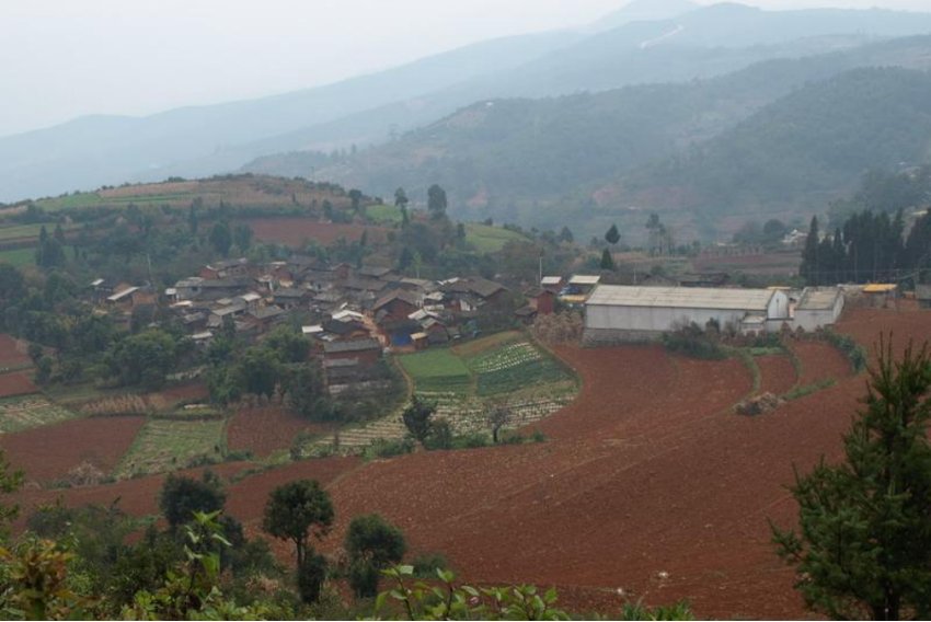 麻地是什么意思