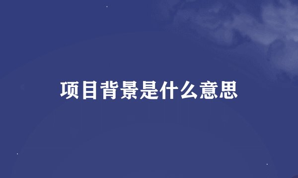 项目背景是什么意思