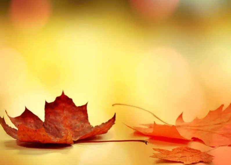 世事无常的意思是