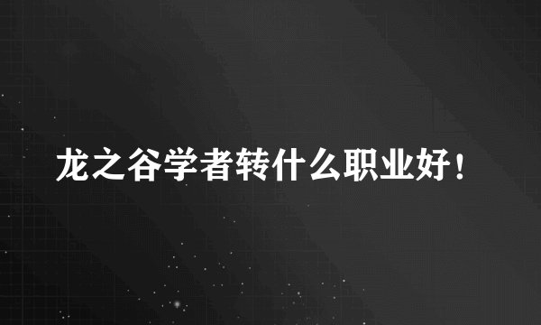 龙之谷学者转什么职业好！