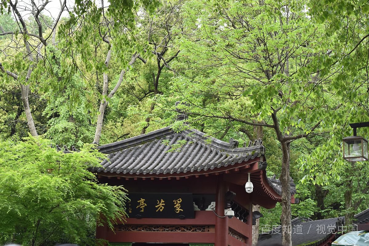 100元如何能过得很幸福？