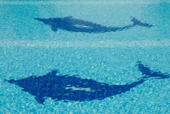 2月份的星座是什么座的？