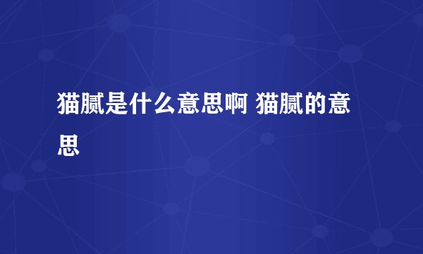 猫腻是什么意思啊 猫腻的意思
