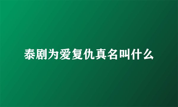 泰剧为爱复仇真名叫什么