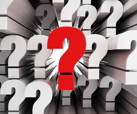 脑筋急转弯。1.什么鱼最笨2.什么鱼最聪明3.谁最了解鸟类？