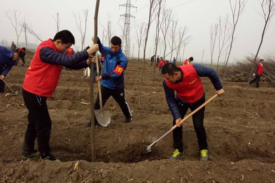 我国的植树节是4月5日对吗