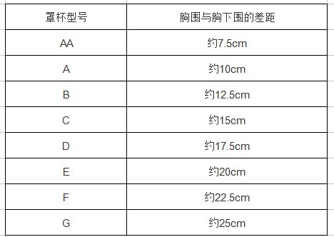 女人内衣的大小！A B C 都是什么意思