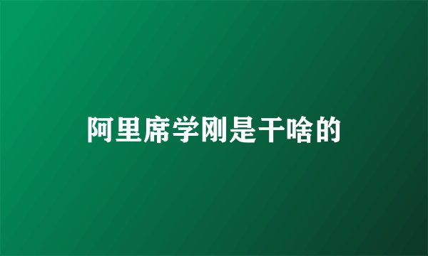 阿里席学刚是干啥的