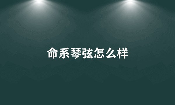 命系琴弦怎么样