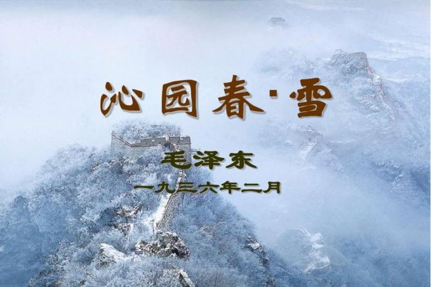 动静结合的诗句