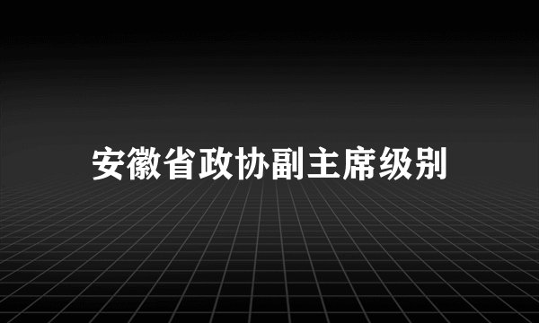 安徽省政协副主席级别