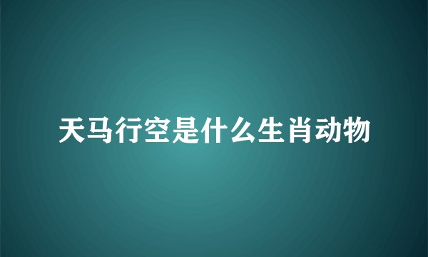 天马行空是什么生肖动物