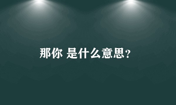 那你 是什么意思？