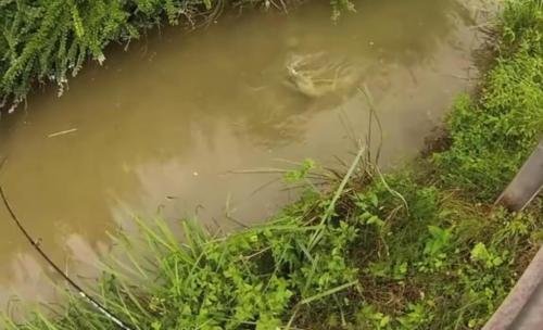 水渠和水沟的区别是什么？有何作用？