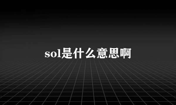sol是什么意思啊