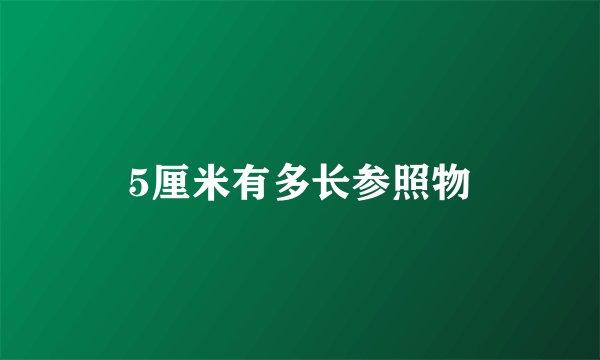 5厘米有多长参照物