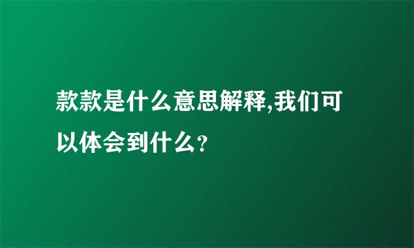 款款是什么意思解释,我们可以体会到什么？