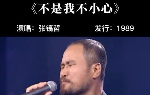 从来不敢仔细看你是什么歌