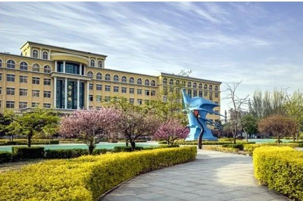 专科批是什么意思？