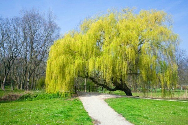 春雨沙沙,春雨沙沙出自哪里?
