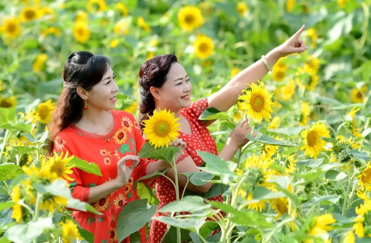 笑什么如花笑靥如花拼音