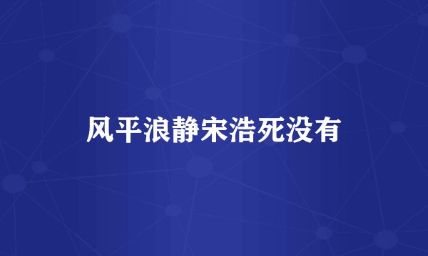 风平浪静宋浩死没有