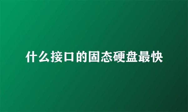 什么接口的固态硬盘最快
