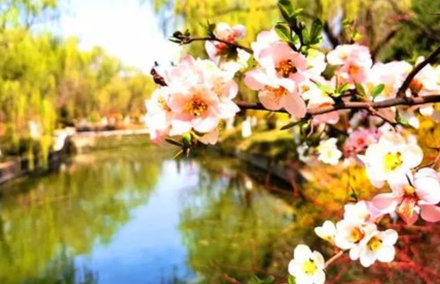 春色的拼音是什么？