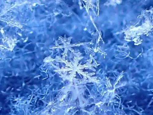 100倍显微距镜下的雪花是什么模样？