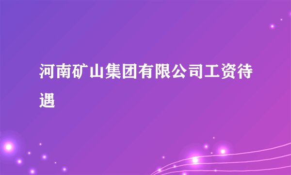 河南矿山集团有限公司工资待遇