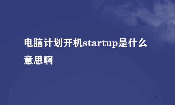 电脑计划开机startup是什么意思啊