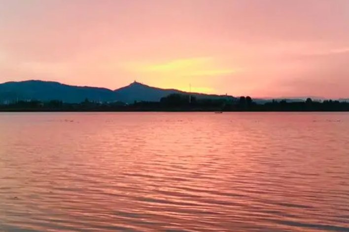 半江瑟瑟半江红的瑟瑟指什么蚂蚁