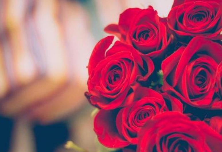 请问11朵，33朵，99朵玫瑰花分别代表什么含义？