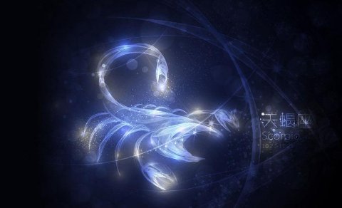 11月13日出生的人是什么星座