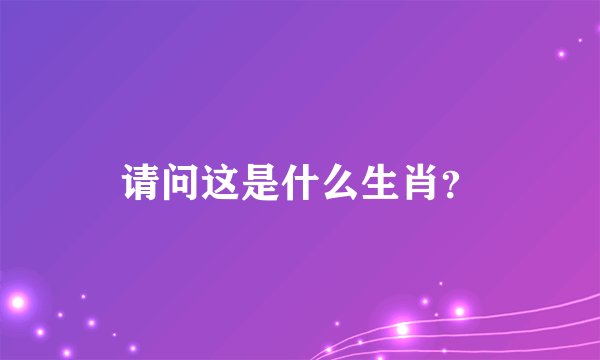 请问这是什么生肖？