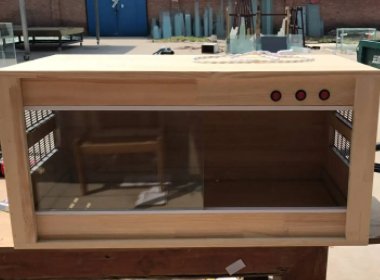 鬃狮蜥和绿鬣蜥的喂养环境区别很大吗？分别是什么呢？