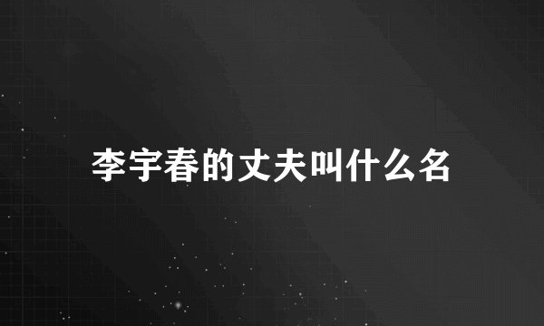 李宇春的丈夫叫什么名