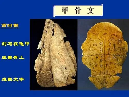 甲骨文的发现与药材还是青铜器有关