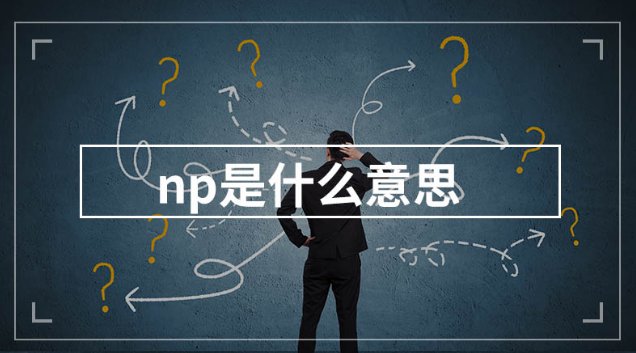 np是什么意思呢