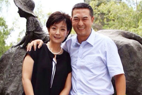 王海燕和张嘉译离婚了吗？