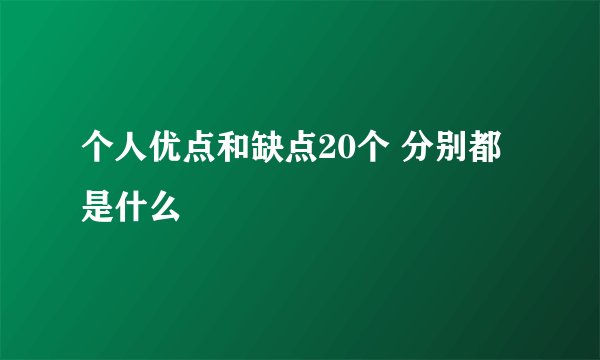 个人优点和缺点20个 分别都是什么
