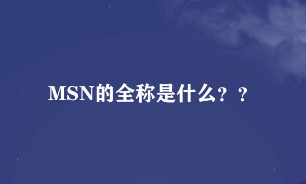 MSN的全称是什么？？