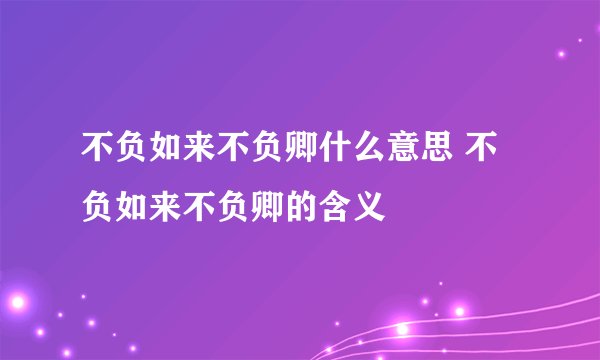不负如来不负卿什么意思 不负如来不负卿的含义