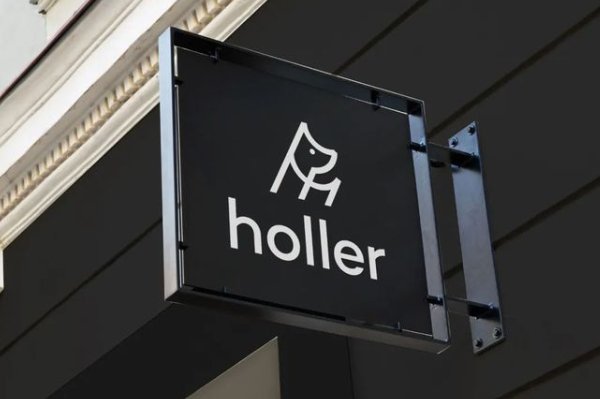 holler是什么意思