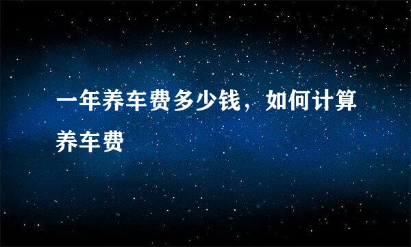 一年养车费多少钱，如何计算养车费