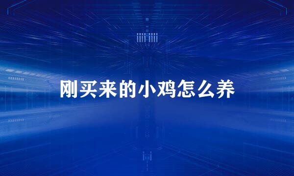 刚买来的小鸡怎么养