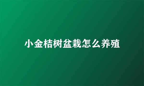 小金桔树盆栽怎么养殖